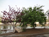 ̫�O������^