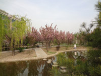 ̫�O������^