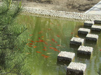 ̫�O������^