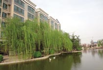 �h���������C������̫�O��