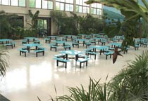 ��ͬ�r�ݼ{500�˾Ͳ͵������B�͏d