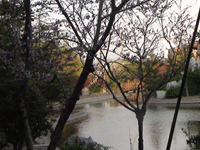 ̫�O�²����O�乫˾���쾰ɫ