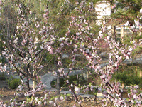 ̫�O�²����O�乫˾���쾰ɫ