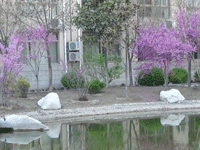 ̫�O��@��ɫ��̫�O�²����O�乫˾