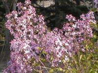 ̫�O��@��ɫ��̫�O�²����O�乫˾