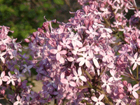 ̫�O��@��ɫ��̫�O�²����O�乫˾