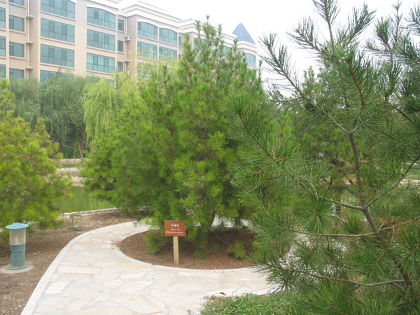 太極搪玻璃設備公司